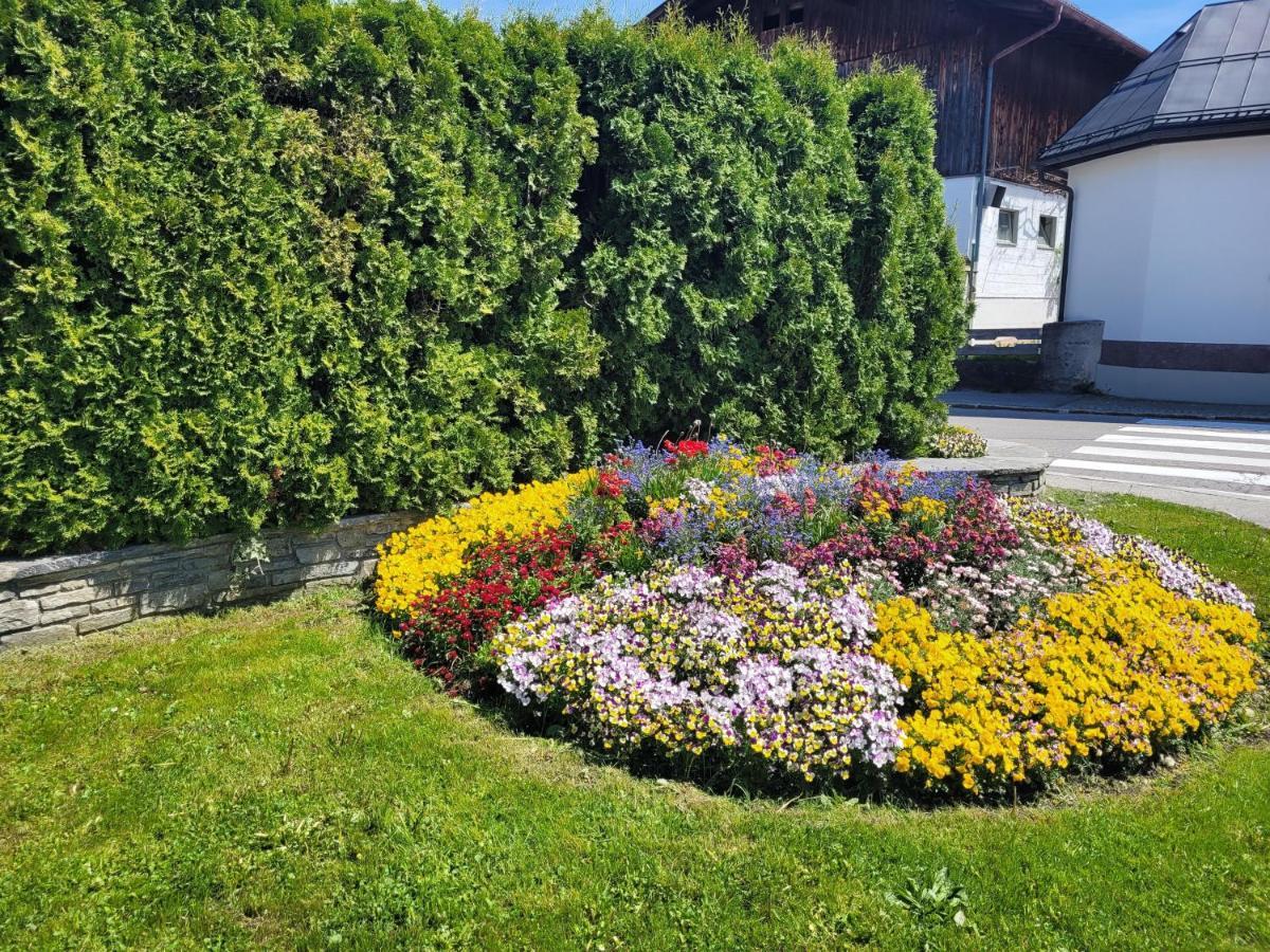 Ferienwohnung Schatz Breitenwang Exterior photo